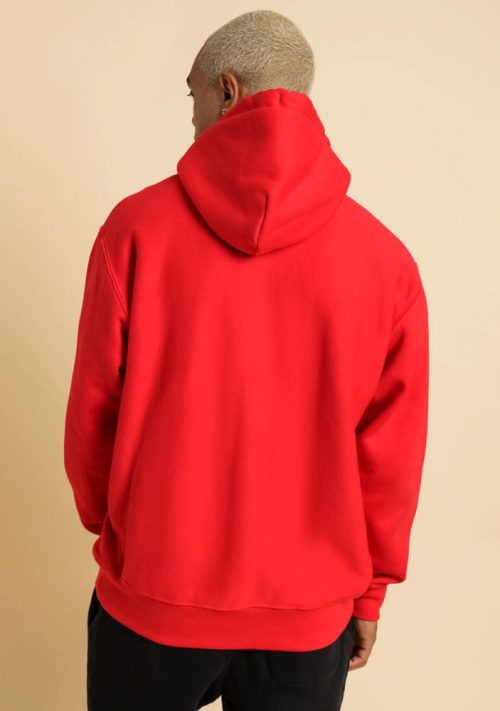 SHOPIFY 0009 CHAMPIONREVERSEWAVEHOODIEA1704H 10