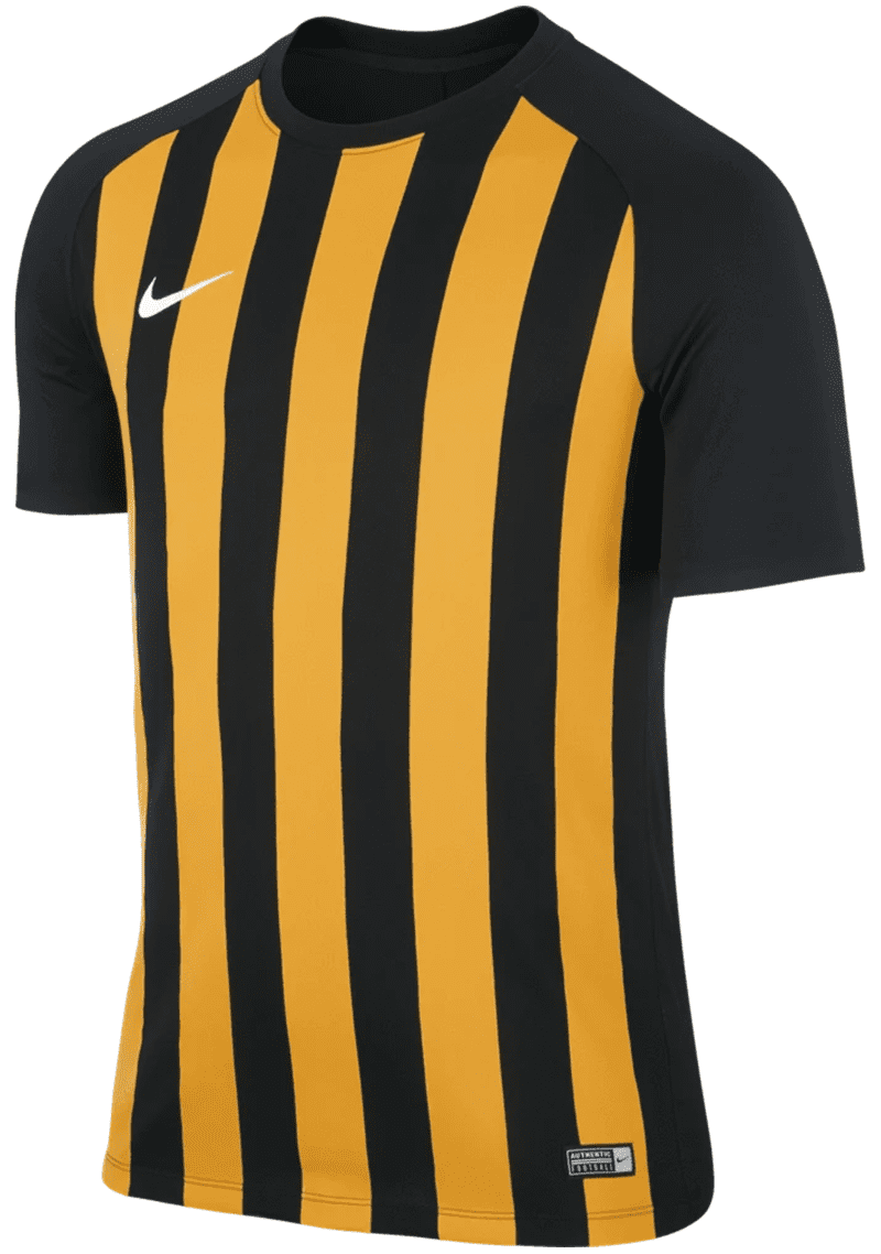 nike mens nike dry striped segment iii jersey 1024x1024SHOPIFY 9a12dc73 3d18 4571 a494 920502538974